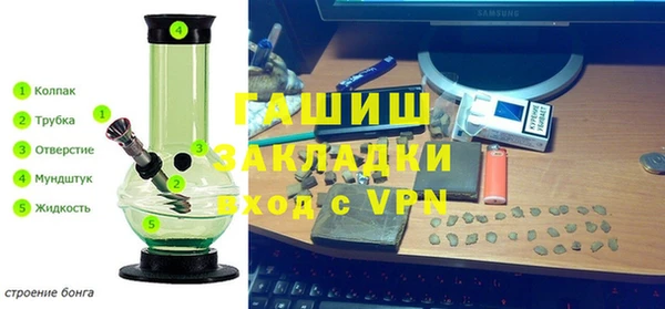 прущие грибы Верхний Тагил