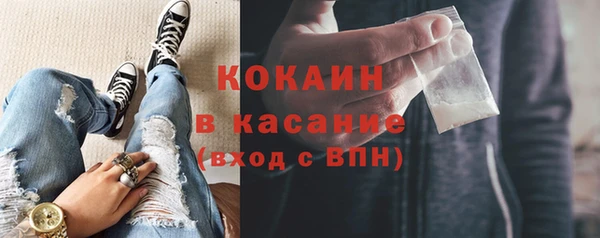 прущие грибы Верхний Тагил