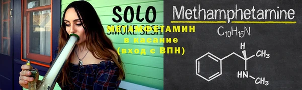 прущие грибы Верхний Тагил