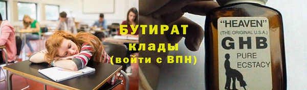 прущие грибы Богданович