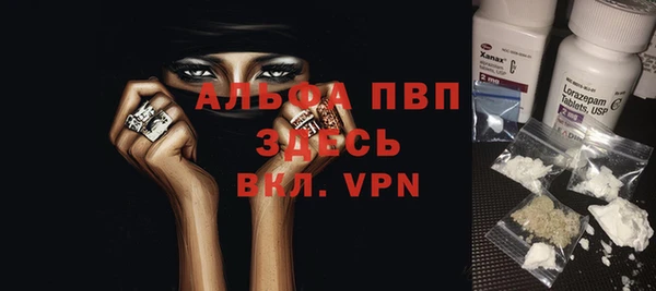 прущие грибы Богданович