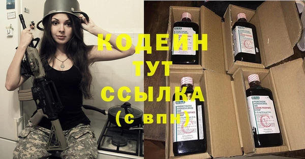прущие грибы Верхний Тагил