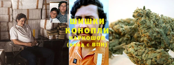 тгк Богородицк