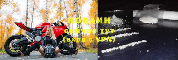 дмт Богородск