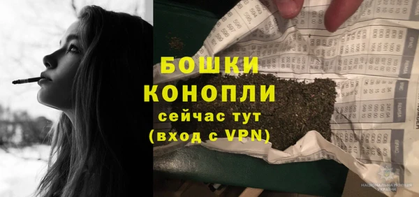 прущие грибы Богданович