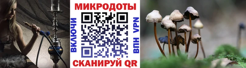 Галлюциногенные грибы ЛСД  Старица 