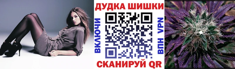 Конопля ГИДРОПОН  Старица 